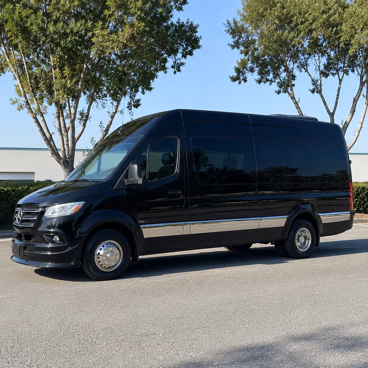 carrollton wedding transportation onboard seating